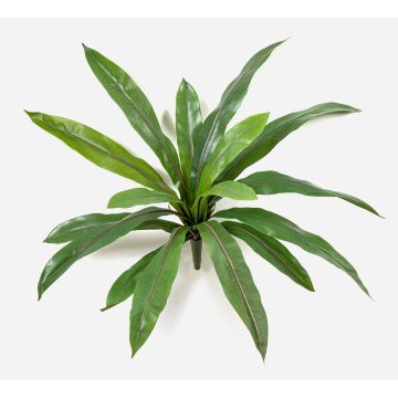 Pianta artificiale Felce nido JANE, bastoncino, verde, 40 cm Pianta artificiale Felce nido JANE, bastoncino, verde, 40 cm