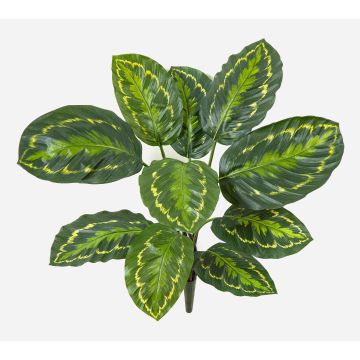 Pianta artificiale Calathea Medaillon FLEURETTA, bastoncino, verde-giallo, 50 cm