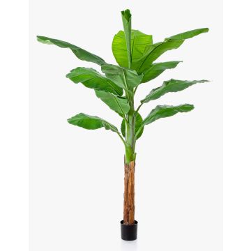 Albero di banano artificiale OMERA, 200 cm