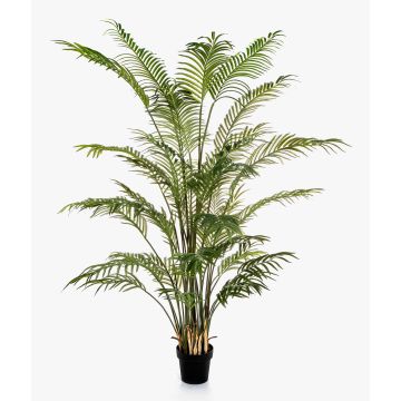 Palma Areca artificiale LUVA, 205 cm