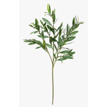 Ramo di olivo artificiale BRANDAR, crossdoor, verde, 70 cm