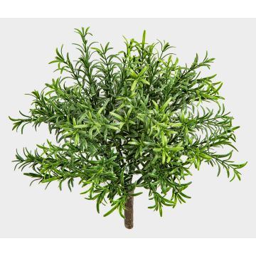 Erba aromatica artificiale rosmarino ORSOLA su bastoncino, difficilmente infiammabile, verde, 30 cm Erba aromatica artificiale rosmarino ORSOLA su bastoncino, difficilmente infiammabile, verde, 30 cm