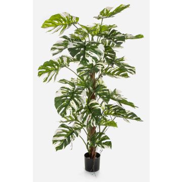 Pianta artificiale Philodendron Monstera Deliciosa Variegata MEBSUTA, verde-bianco, 160 cm