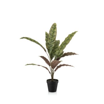 Pianta artificiale Calathea Makoyana WIDO in vaso decorativo, verde-rosso bordeaux, 60 cm
