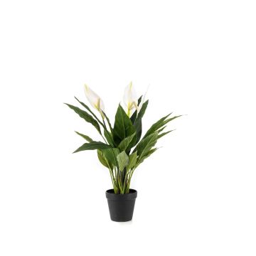 Pianta artificiale Monstera RANIESO, vaso decorativo, fiori, bianco, 55 cm