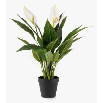 Pianta artificiale Monstera RANIESO, vaso decorativo, fiori, bianco, 55 cm
