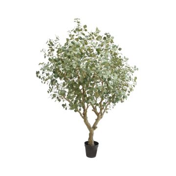 Albero di eucalipto artificiale BAKHEN, tronco artificiale, vaso decorativo, verde, 240 cm Albero di eucalipto artificiale BAKHEN, tronco artificiale, vaso decorativo, verde, 240 cm