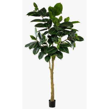 Albero della gomma artificiale BAKWEN, tronco artificiale, verde, 300 cm
