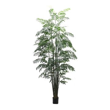 Palma di montagna artificiale BAKNEL, 300 cm