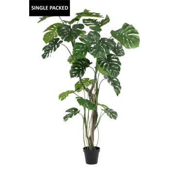 Pianta artificiale Philodendron monstera deliciosa TANIESO, tronco artificiale, radici aeree, 210 cm