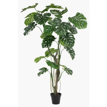 Pianta artificiale Philodendron monstera deliciosa TANIESO, tronco artificiale, radici aeree, 210 cm