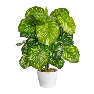 Pianta finta Calathea Orbifolia BLAHEN, vaso in ceramica, verde, 50 cm