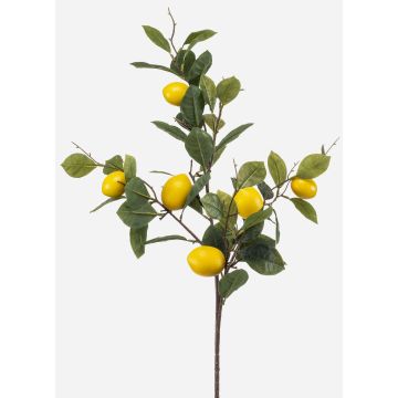 Ramo artificiale di limoni QUEOSHA con frutti, giallo, 95 cm Ramo artificiale di limoni QUEOSHA con frutti, giallo, 95 cm