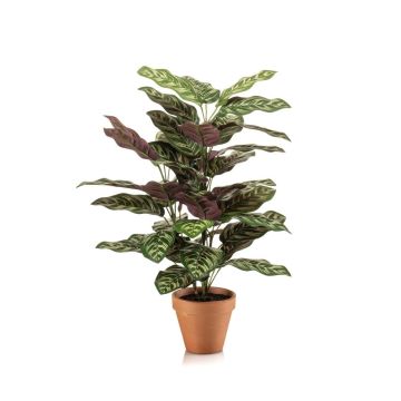Pianta artificiale Calathea makoyana TROGAR in vaso terracotta, verde-viola, 65 cm