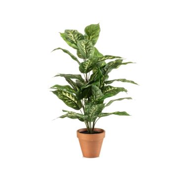 Pianta artificiale Dieffenbachia ELSAWA in vaso terracotta, verde, 65 cm