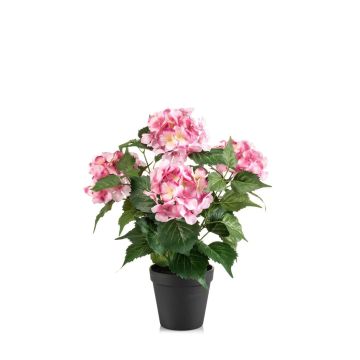 Ortensia artificiale DORJA in vaso decorativo, rosa, 40 cm