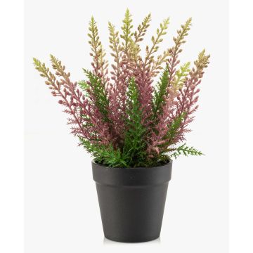 Erica artificiale ELSAWO in vaso decorativo, crossdoor, viola, 30 cm Erica artificiale ELSAWO in vaso decorativo, crossdoor, viola, 30 cm