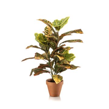 Pianta artificiale Croton ISKANDAR in vaso di terracotta, colorato, 65 cm