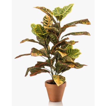 Pianta artificiale Croton ISKANDAR in vaso di terracotta, colorato, 65 cm Pianta artificiale Croton ISKANDAR in vaso di terracotta, colorato, 65 cm