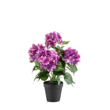 Ortensia artificiale DORJA in vaso decorativo, viola, 40 cm