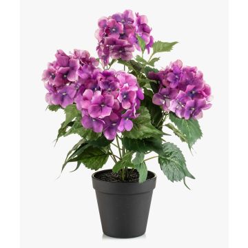 Ortensia artificiale DORJA in vaso decorativo, viola, 40 cm Ortensia artificiale DORJA in vaso decorativo, viola, 40 cm
