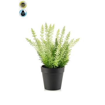 Erica artificiale ELSAWO in vaso decorativo, crossdoor, bianco-verde, 30 cm