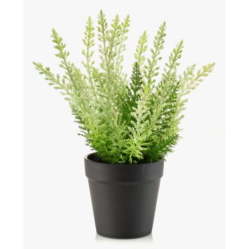 Erica artificiale ELSAWO in vaso decorativo, crossdoor, bianco-verde, 30 cm Erica artificiale ELSAWO in vaso decorativo, crossdoor, bianco-verde, 30 cm