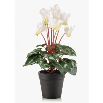 Ciclamino artificiale VERIANA in vaso decorativo, bianco-verde, 30 cm