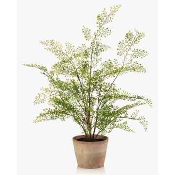 Pianta artificiale felce GLERAN in vaso terracotta, radici, verde, 65 cm