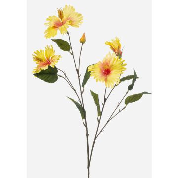 Ramo decorativo Ibisco TRUGEN con fiori, giallo-rosa, 85 cm