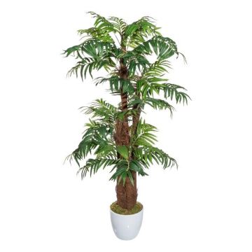Palma artificiale Areca JANLO in vaso di ceramica, 150cm Palma artificiale Areca JANLO in vaso di ceramica, 150cm