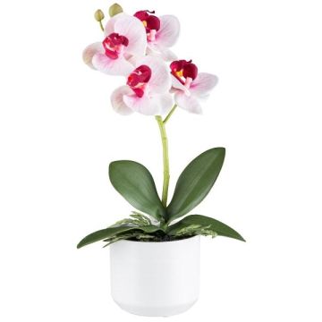 Orchidea Phalaenopsis in tessuto WERKAN, vaso in ceramica, radici, bianco-rosa, 27 cm