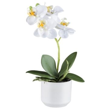 Orchidea Phalaenopsis in tessuto WERKAN, vaso in ceramica, radici, bianco, 27 cm