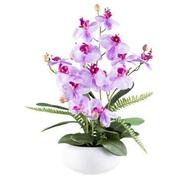 Composizione floreale artificiale orchidea e felce SALTER in vaso di ceramica, viola chiaro, 55 cm