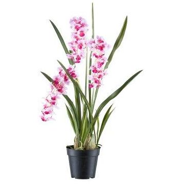 Fiore decorativo orchidea Cymbidium KLORVEN, radici, bianco-lilla, 80 cm Fiore decorativo orchidea Cymbidium KLORVEN, radici, bianco-lilla, 80 cm