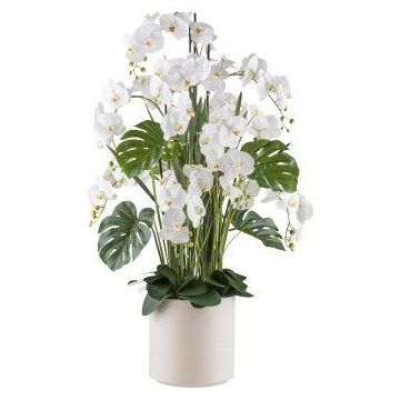 Composizione floreale artificiale orchidea filodendro CASTOL, sansevieria mikado, vaso decorativo, bianco, 140 cm Composizione floreale artificiale orchidea filodendro CASTOL, sansevieria mikado, vaso decorativo, bianco, 140 cm