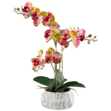 Orchidea Phalaenopsis artificiale BLORVEN, vaso in cemento, radici, giallo-rosa, 50 cm