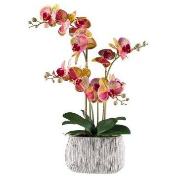 Orchidea Phalaenopsis artificiale BLORVEN, vaso in cemento, radici, giallo-rosa, 55 cm