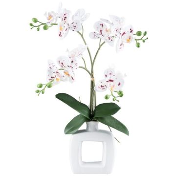 Orchidea Phalaenopsis artificiale DRUKLON, vaso in ceramica, radici, bianco-rosso, 40 cm