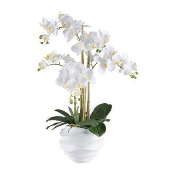 Orchidea Phalaenopsis artificiale STONFER, vaso decorativo bianco, radici, bianco, 70 cm Orchidea Phalaenopsis artificiale STONFER, vaso decorativo bianco, radici, bianco, 70 cm