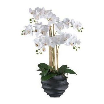 Orchidea Phalaenopsis artificiale STONFER, vaso decorativo nero, radici, bianco, 70 cm Orchidea Phalaenopsis artificiale STONFER, vaso decorativo nero, radici, bianco, 70 cm