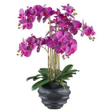 Orchidea Phalaenopsis artificiale STONFER, vaso decorativo nero, radici, viola, 70 cm Orchidea Phalaenopsis artificiale STONFER, vaso decorativo nero, radici, viola, 70 cm