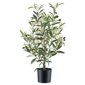 Albero decorativo ulivo SELVO con frutti, tronco artificiale, 70 cm