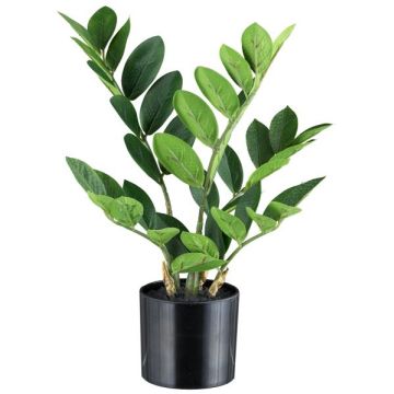 Pianta artificiale Zamioculcas BLUHAR, 35 cm