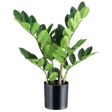 Pianta artificiale Zamioculcas BLUHAR, 45 cm Pianta artificiale Zamioculcas BLUHAR, 45 cm