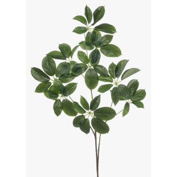 Ramo decorativo Schefflera PARVANEH, verde, 110 cm