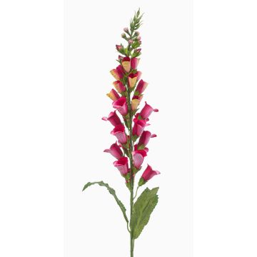 Fiore artificiale digitalis SCHYNRA, rosa-giallo, 95 cm Fiore artificiale digitalis SCHYNRA, rosa-giallo, 95 cm