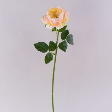 Rosa artificiale GINAKAL, albicocca, 65cm Rosa artificiale GINAKAL, albicocca, 65cm