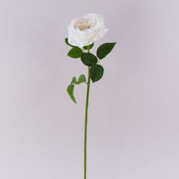 Rosa artificiale GINAKAL, crema-bianco, 65cm Rosa artificiale GINAKAL, crema-bianco, 65cm