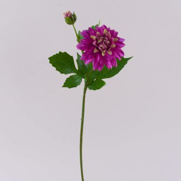 Fiore artificiale dalia WERNYT, viola, 45 cm